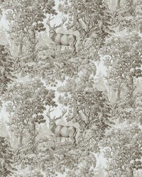 Staghorn Toile Sepia by   