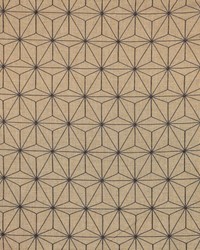 Star Quality Graphite by   