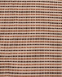 Straight & Narrow Espresso by   