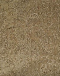 The Whole Truth Pearl by   