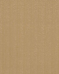 Timex Putty by  RM Coco 