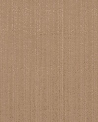 Timex Saddle by  RM Coco 