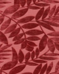 Tom Collins Merlot by   