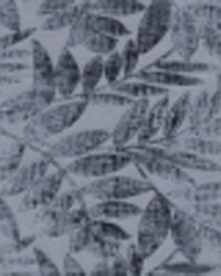 Tom Collins Prussian by   