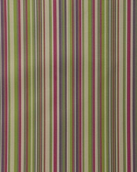 Top Of The Line Heatherberry by   