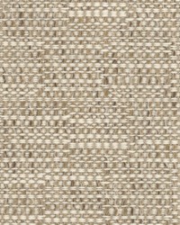 Tahiti Travertine by   