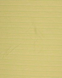 Tidal Pool Io Palm by   