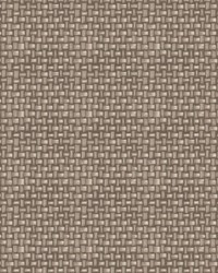 Tiki Cabana Coconut by   