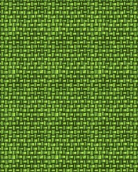 Tiki Cabana Key Lime by   