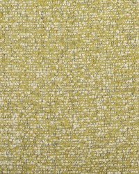 Triple Crown - Crypton Fern by   