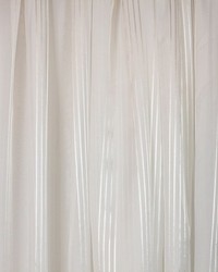 Upland Stephanotis by   