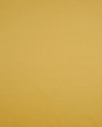 Valencia Nugget by  RM Coco 