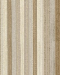 Valentino Stripe Crypton Desert by  Ralph Lauren 