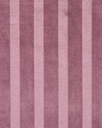 Watson Black Plum by   