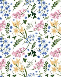 Wildflower Multi Multi by   