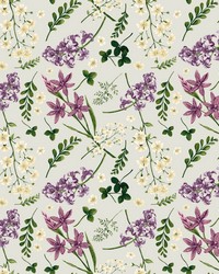 Wildflower Multi Sunny Heather by   
