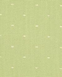 Dashford Pistachio by  Robert Allen 