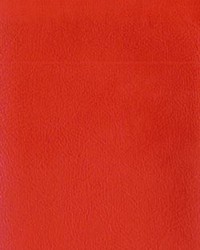 Sierra Sp Torch Red by  Novel 