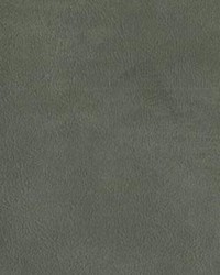 Montana Smoke by  Novel 