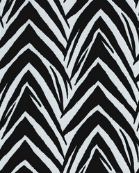 Zebra Black  White by   
