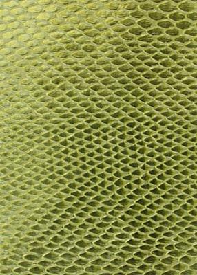 Novel Sedgewick Celery in Exotic Faux Leather I Green Polyurethane Animal Skin   Fabric