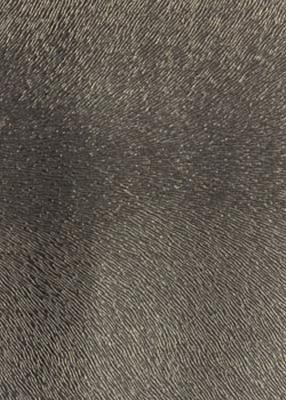 Novel Bellaire Cinder in Exotic Faux Leather II Polyurethane
