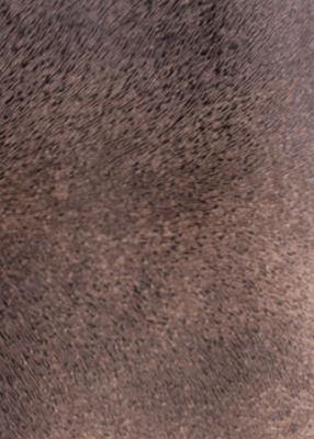 Novel Bellaire Java in Exotic Faux Leather II Brown Polyurethane