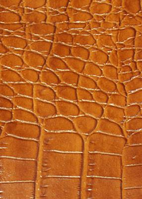 Novel Tiller Peanut in Exotic Faux Leather II Poly  Blend Animal Skin   Fabric