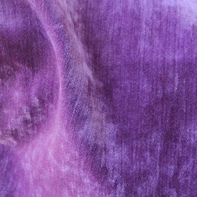 Novel Whitman Montana in Euro Velvet Colors Beige Acrylic  Blend Solid Velvet   Fabric
