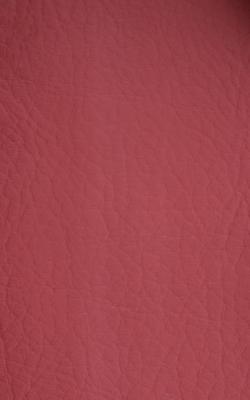 Novel Young Bordeaux in The Performance Faux Leather Collection Red coated  Blend Fire Rated Fabric