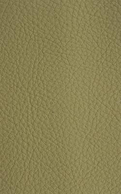 Novel Walter Celery in The Performance Faux Leather Collection Green PVC Fire Rated Fabric Solid Faux Leather  Fabric