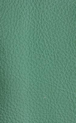 Novel Walter Oregano in The Performance Faux Leather Collection PVC Fire Rated Fabric Solid Faux Leather  Fabric