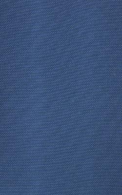 Novel Wilder Sapphire in The Performance Faux Leather Collection Blue Coated  Blend Fire Rated Fabric