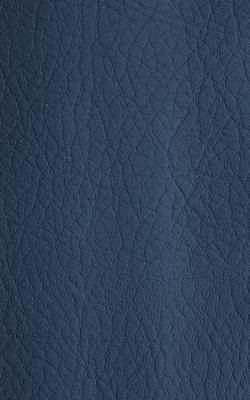 Novel Young Navy in The Performance Faux Leather Collection Blue coated  Blend Fire Rated Fabric