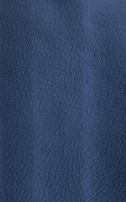 Novel Wang Newport in The Performance Faux Leather Collection Polyurethane Fire Rated Fabric