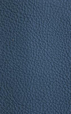 Novel Walter Blue Ridge in The Performance Faux Leather Collection Blue PVC Fire Rated Fabric Solid Faux Leather  Fabric