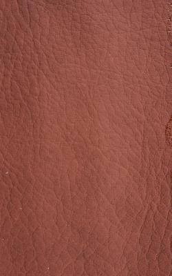 Novel Young Cinnamon in The Performance Faux Leather Collection coated  Blend Fire Rated Fabric