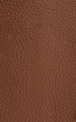 Novel Walter Hazelnut in The Performance Faux Leather Collection PVC Fire Rated Fabric Solid Faux Leather  Fabric
