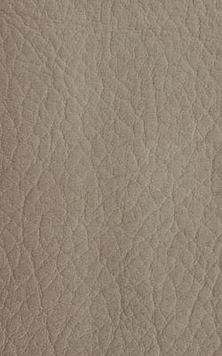 Novel Young Antelope in The Performance Faux Leather Collection coated  Blend Fire Rated Fabric