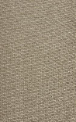 Novel Wilder Taupe in The Performance Faux Leather Collection Brown Coated  Blend Fire Rated Fabric