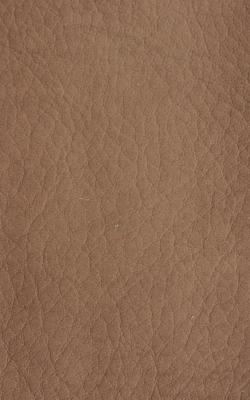 Novel Young Cappuccino in The Performance Faux Leather Collection Brown coated  Blend Fire Rated Fabric