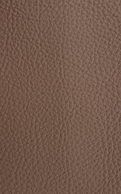 Novel Walter Taupe in The Performance Faux Leather Collection Brown PVC Fire Rated Fabric Solid Faux Leather  Fabric
