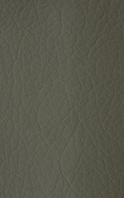 Novel Young Forest in The Performance Faux Leather Collection coated  Blend Fire Rated Fabric