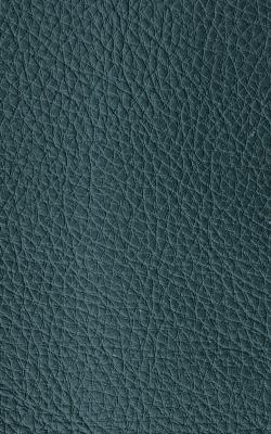 Novel Walter Orchard in The Performance Faux Leather Collection PVC Fire Rated Fabric Solid Faux Leather  Fabric