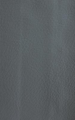 Novel Wang Slate in The Performance Faux Leather Collection Grey Polyurethane Fire Rated Fabric