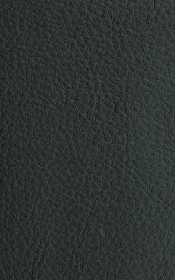 Novel Walter Pewter in The Performance Faux Leather Collection Silver PVC Fire Rated Fabric Solid Faux Leather  Fabric