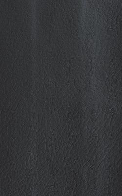 Novel Wang Storm in The Performance Faux Leather Collection Grey Polyurethane Fire Rated Fabric