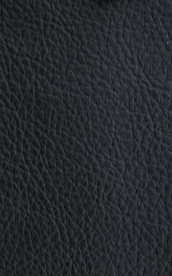Novel Walter Black in The Performance Faux Leather Collection Black PVC Fire Rated Fabric Solid Faux Leather  Fabric