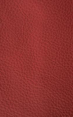 Novel Walter Tandoor in The Performance Faux Leather Collection Beige PVC Fire Rated Fabric Solid Faux Leather  Fabric