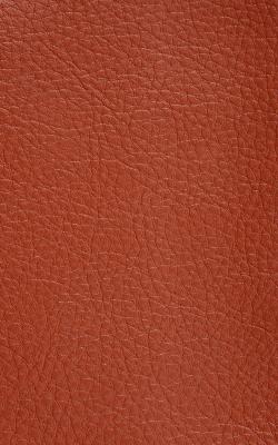 Novel Walter Persimmon in The Performance Faux Leather Collection Orange PVC Fire Rated Fabric Solid Faux Leather  Fabric